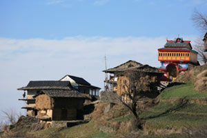 Shoja