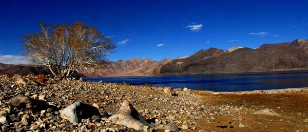 Sarchu, Ladakh