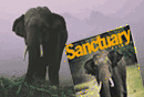 Sanctuary