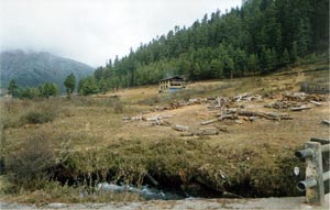 Phobjika