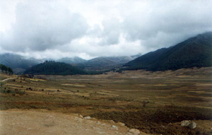 Phobjika