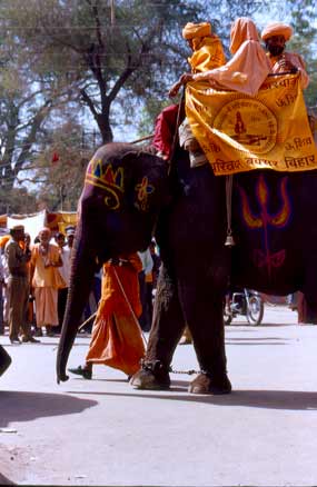 elephants at Kumbha