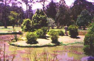 Nuwara