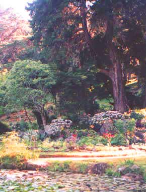 Nuwara Eliya