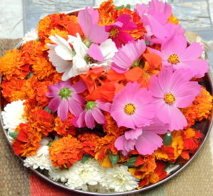 Navaratri worship with flowers
