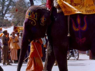 Kumbha elephant