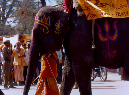 Kumbha elephant