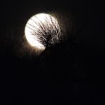 Moonrise on Xmas
