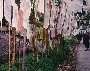 Sikkim-prayer flags