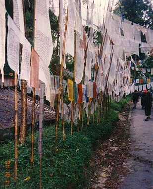 Sikkim-prayer flags